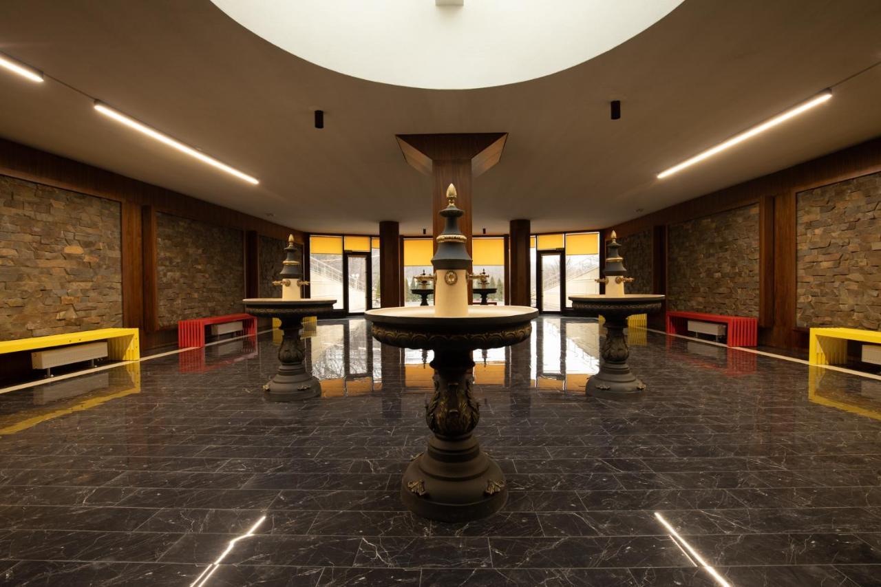Arden Palace Medical Resort & Spa サタノ エクステリア 写真
